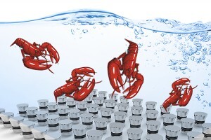 生蠔如何快速清洗？超聲波清洗機(jī)讓生蠔小龍蝦田螺大閘蟹更美味